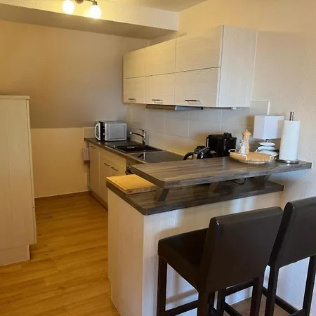 Im Landschaftsschutzgebiet, Mit Dachzimmer Und Terrasse Zum Mit Hauseigenem Bade-steg Apartment